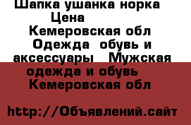 Шапка ушанка норка › Цена ­ 1 000 - Кемеровская обл. Одежда, обувь и аксессуары » Мужская одежда и обувь   . Кемеровская обл.